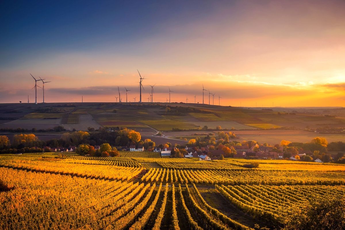 Top Sustainability Trends For Businesses in 2023